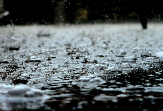 10 Ways to Maximise Your Rainwater Harvesting System